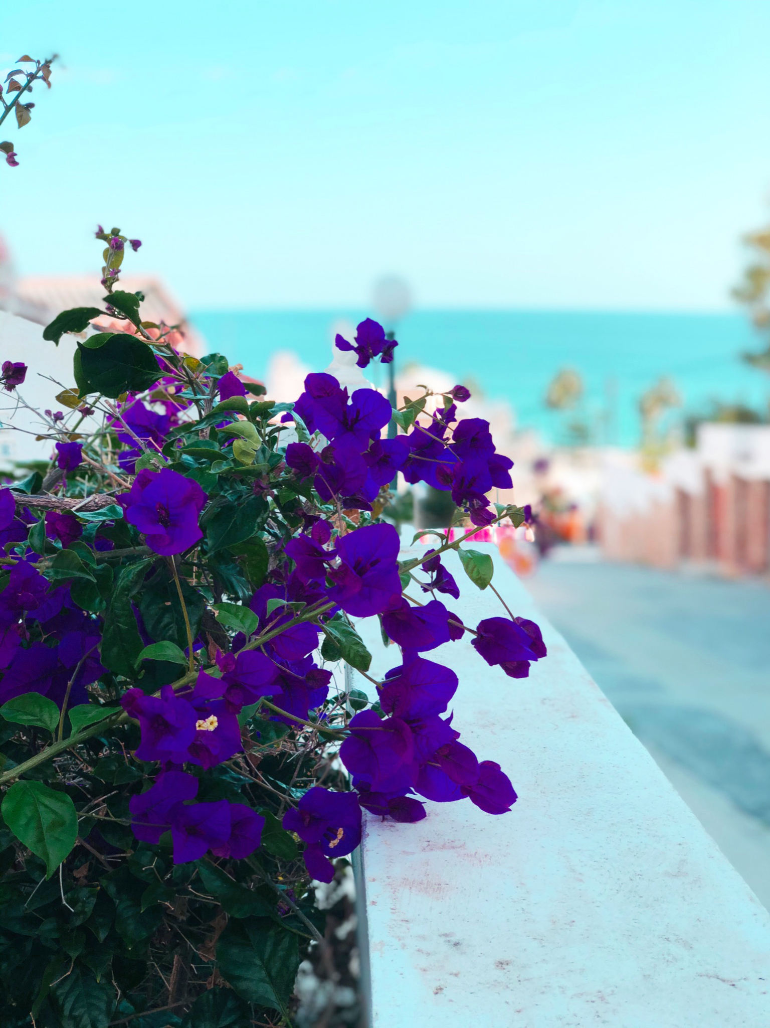 Hostal azahara nerja , Nerja
