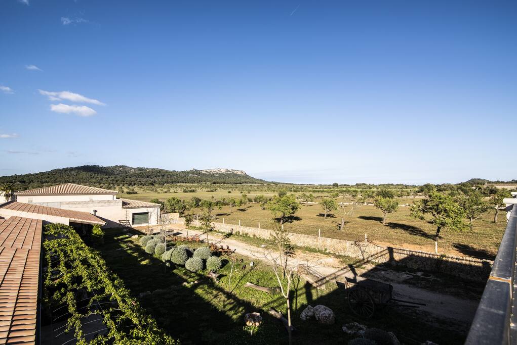 Suite con terraza