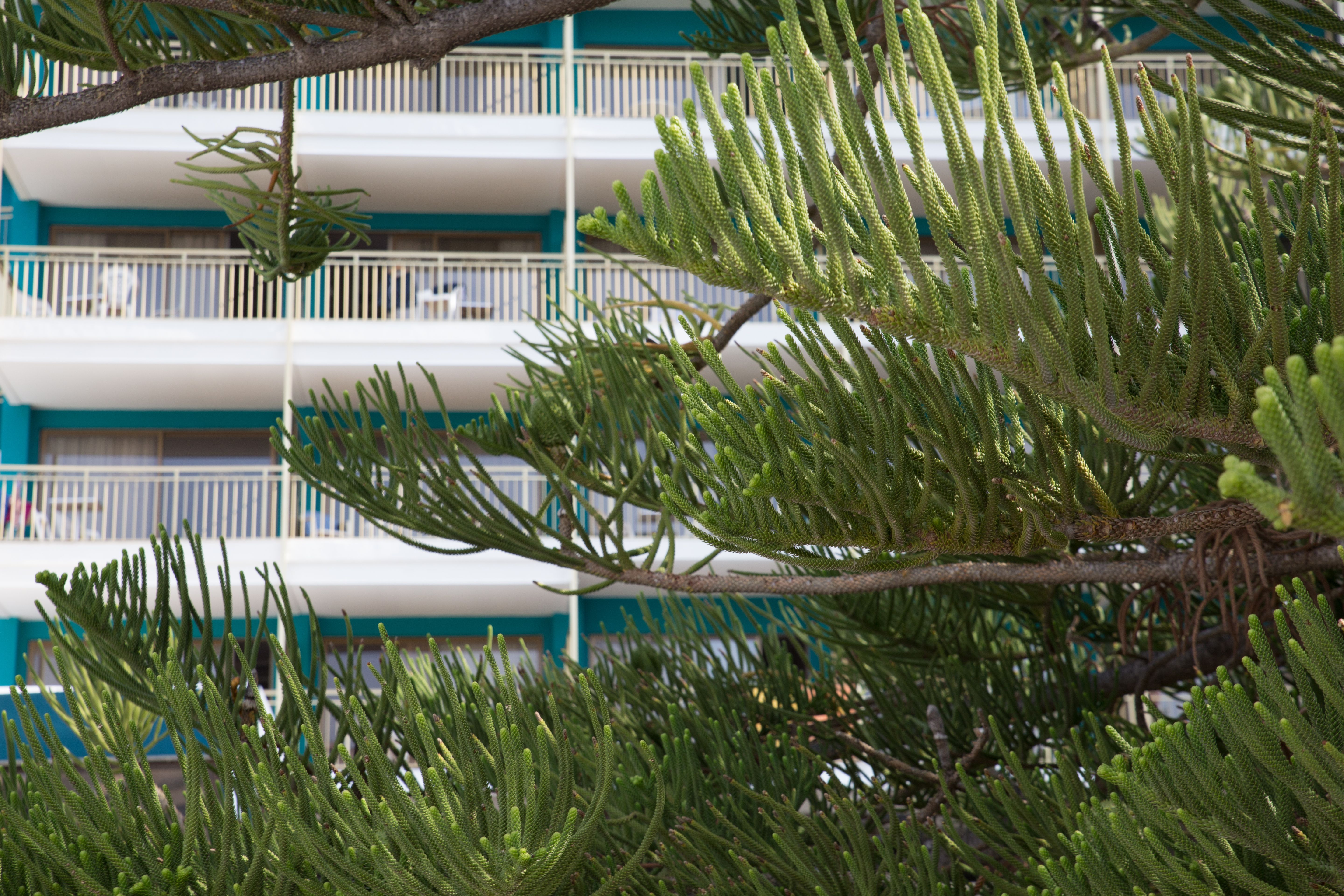 Hotel almirante 