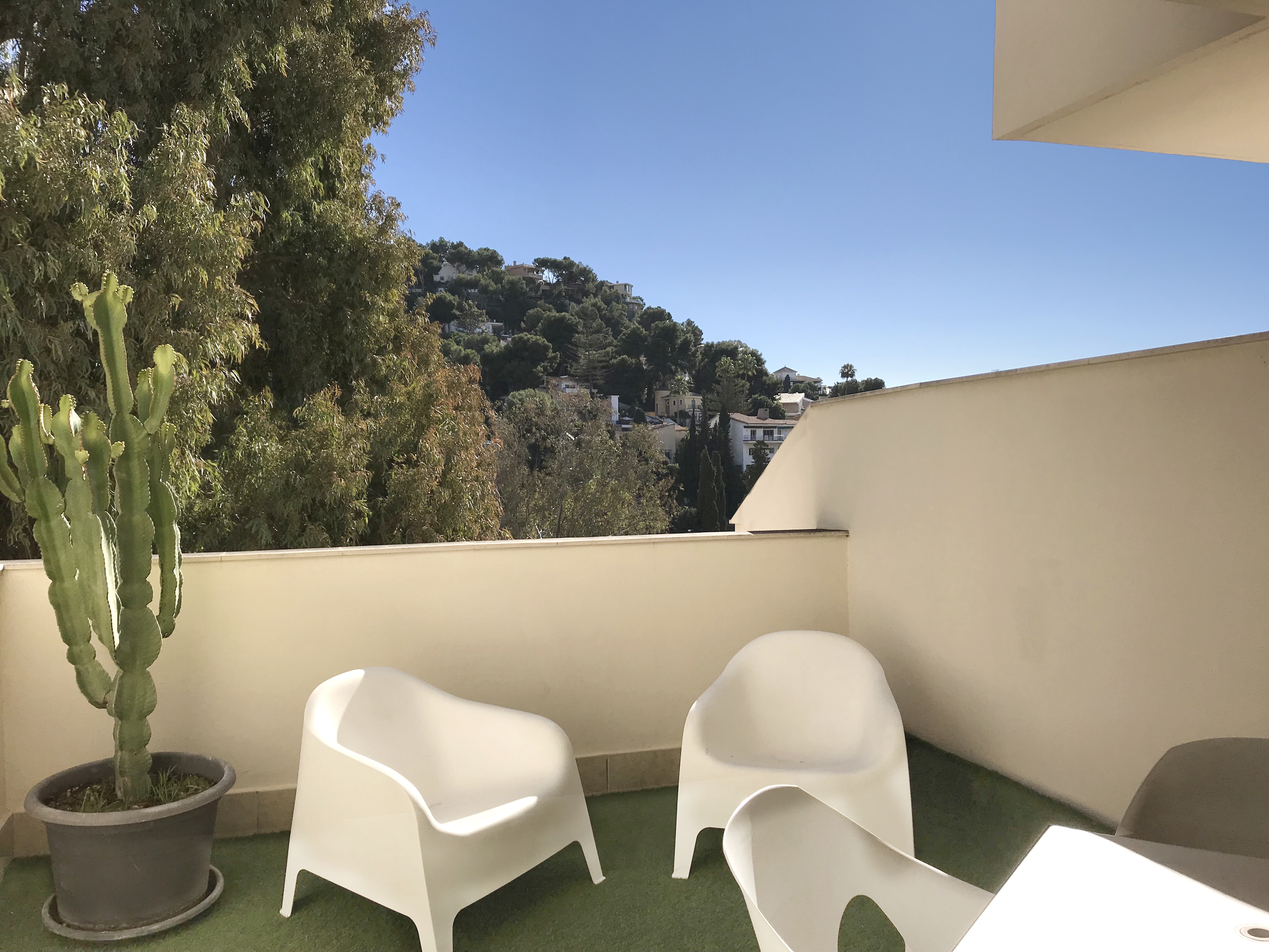 Apartamento de 1 dormitorio