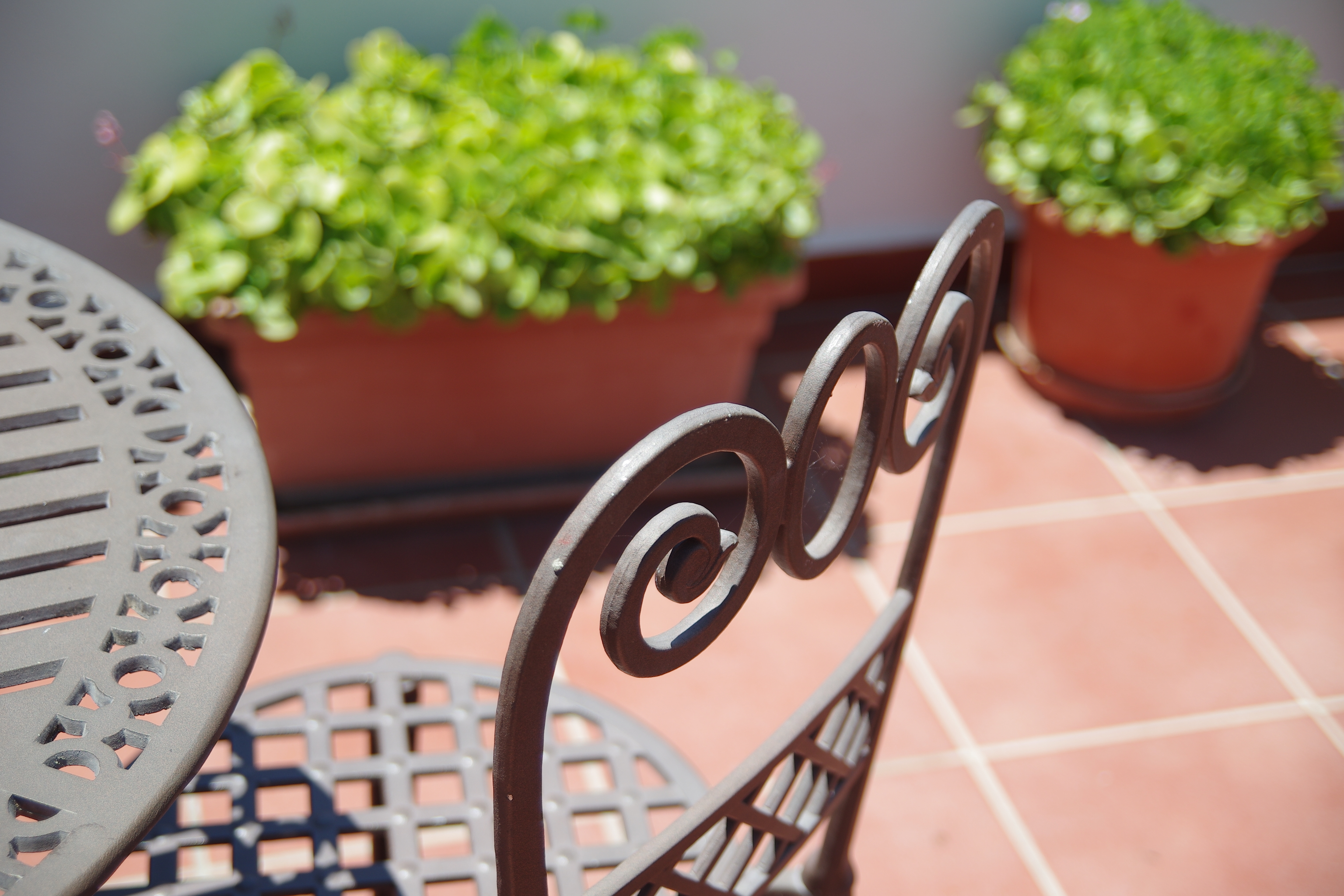 Pension aduar marbella , Marbella 
