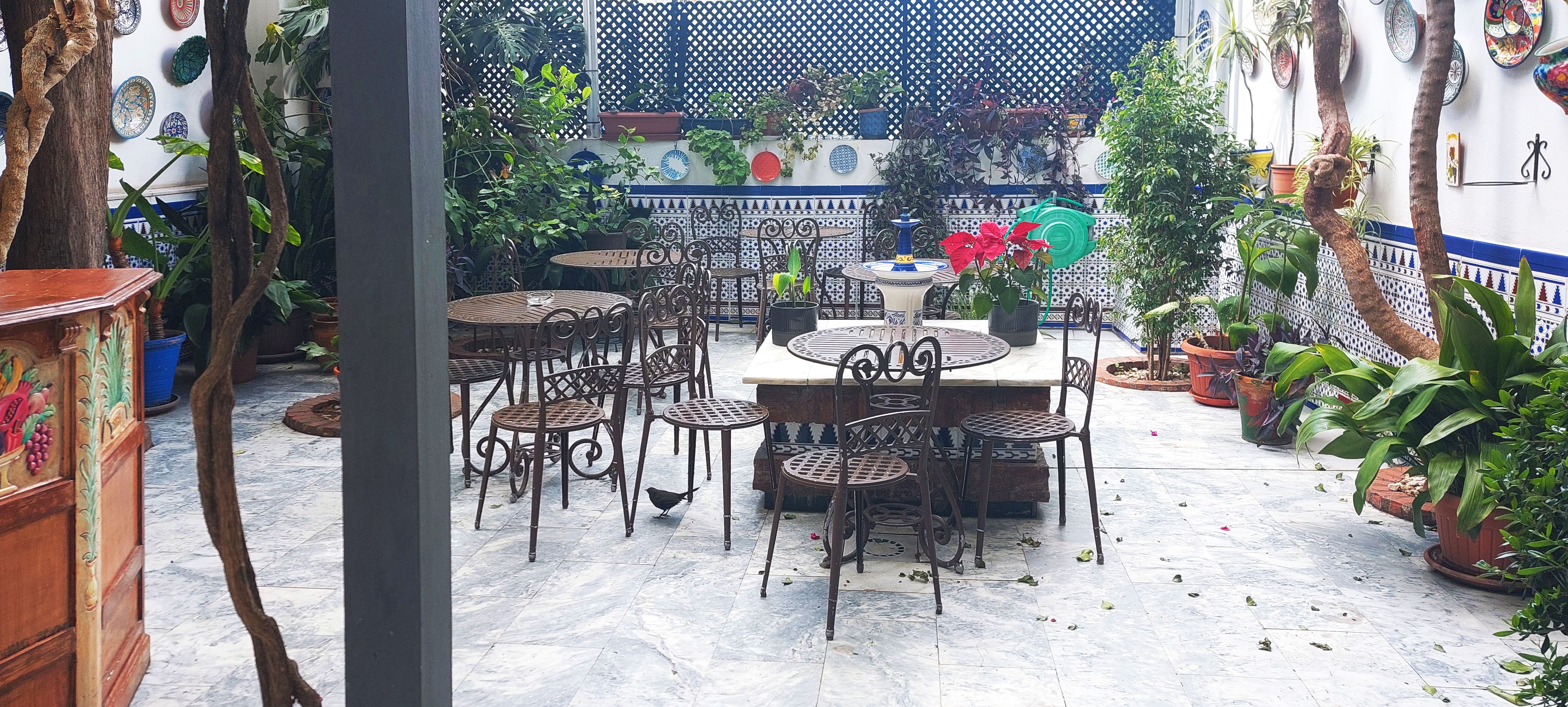 Pension aduar marbella , Marbella 