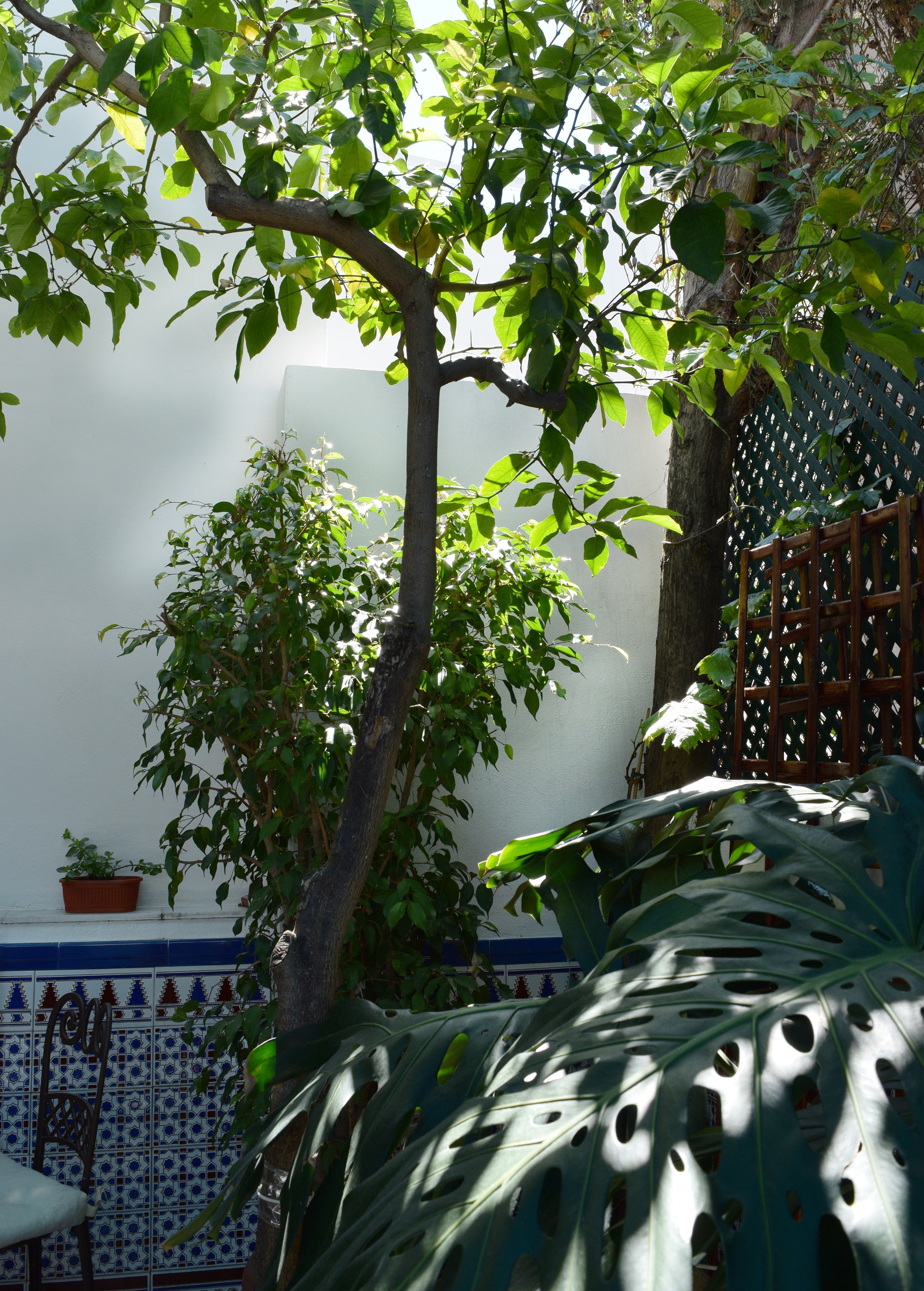 Pension aduar marbella , Marbella 