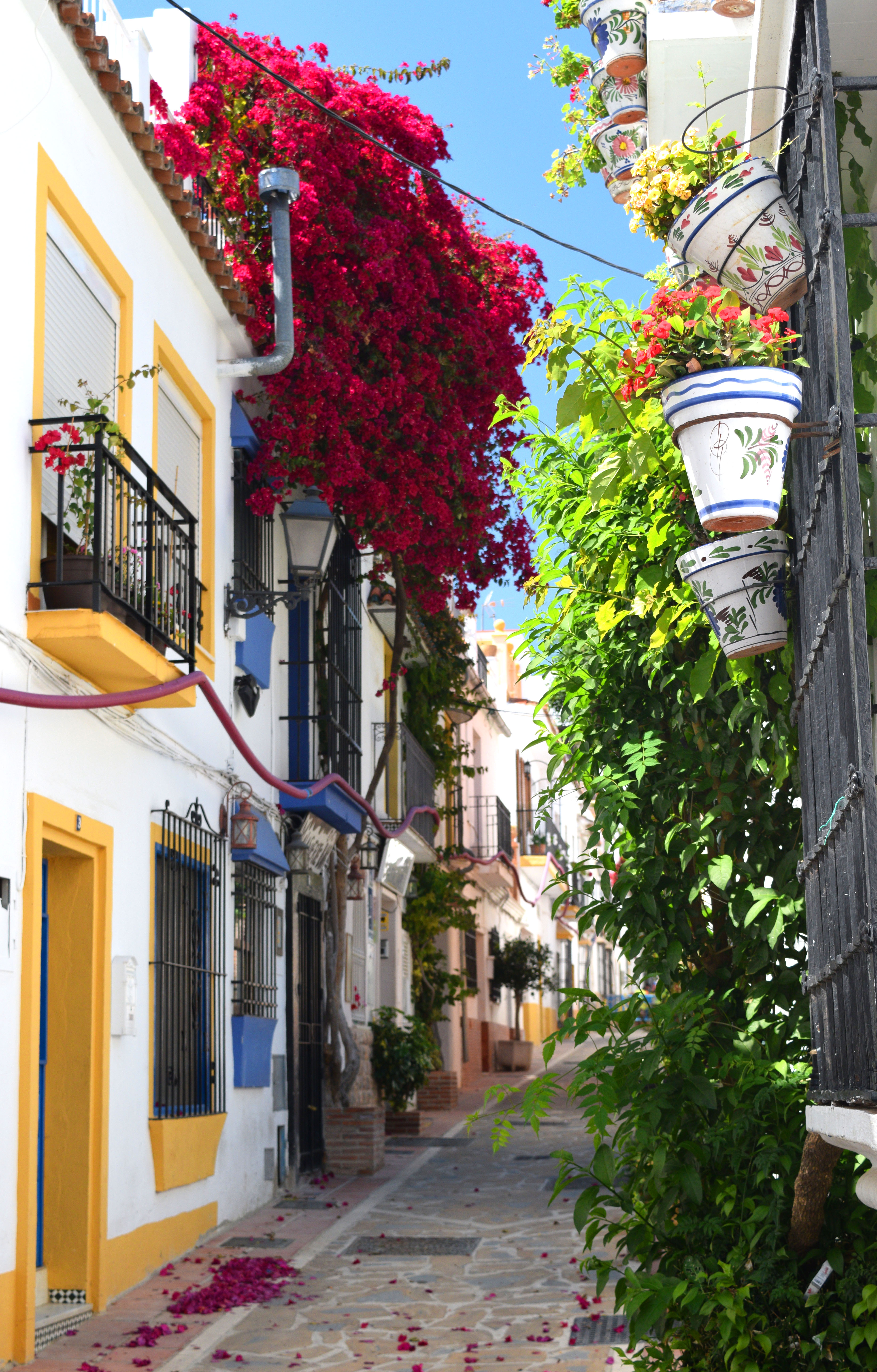 Pension aduar marbella , Marbella 