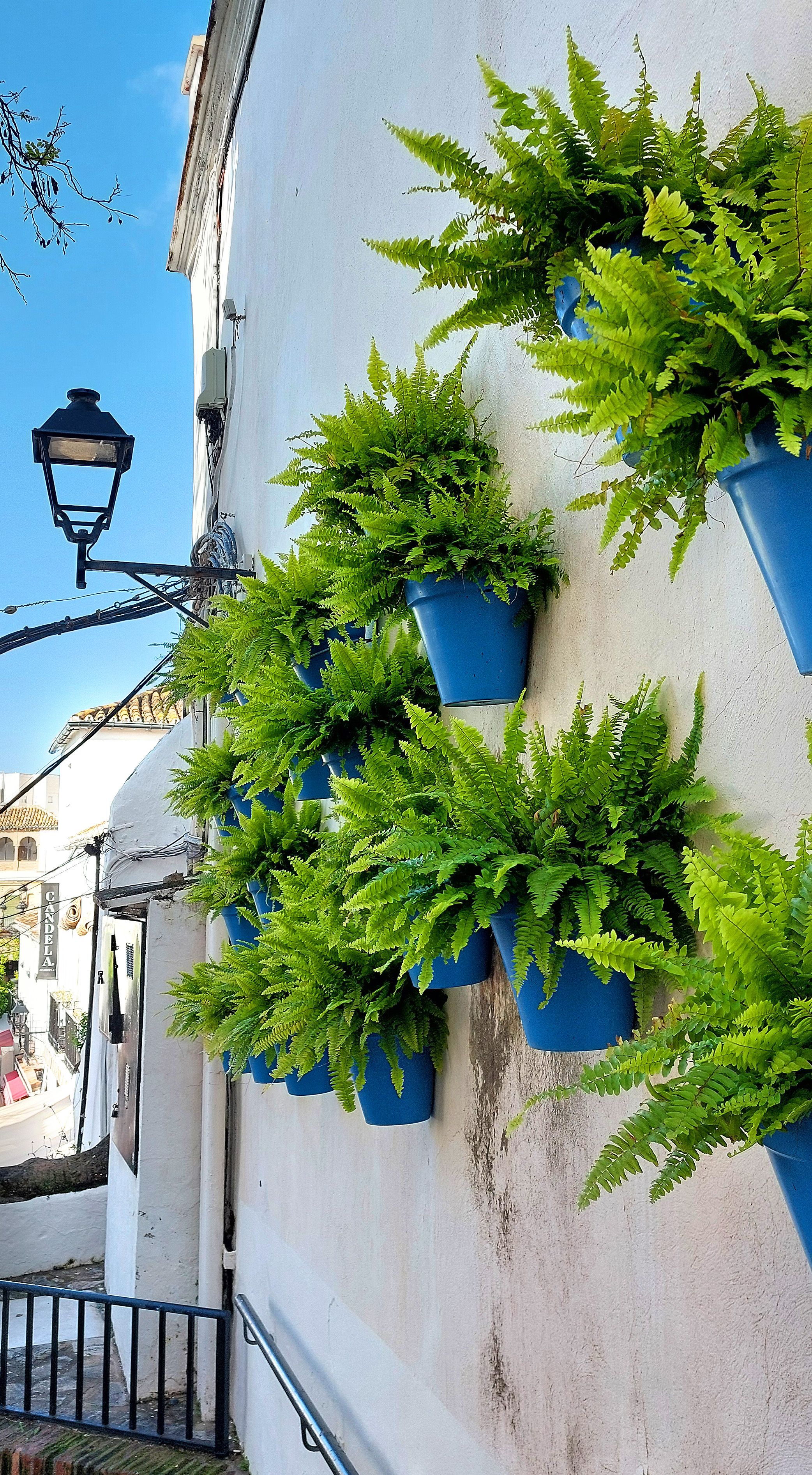 Pension aduar marbella , Marbella 