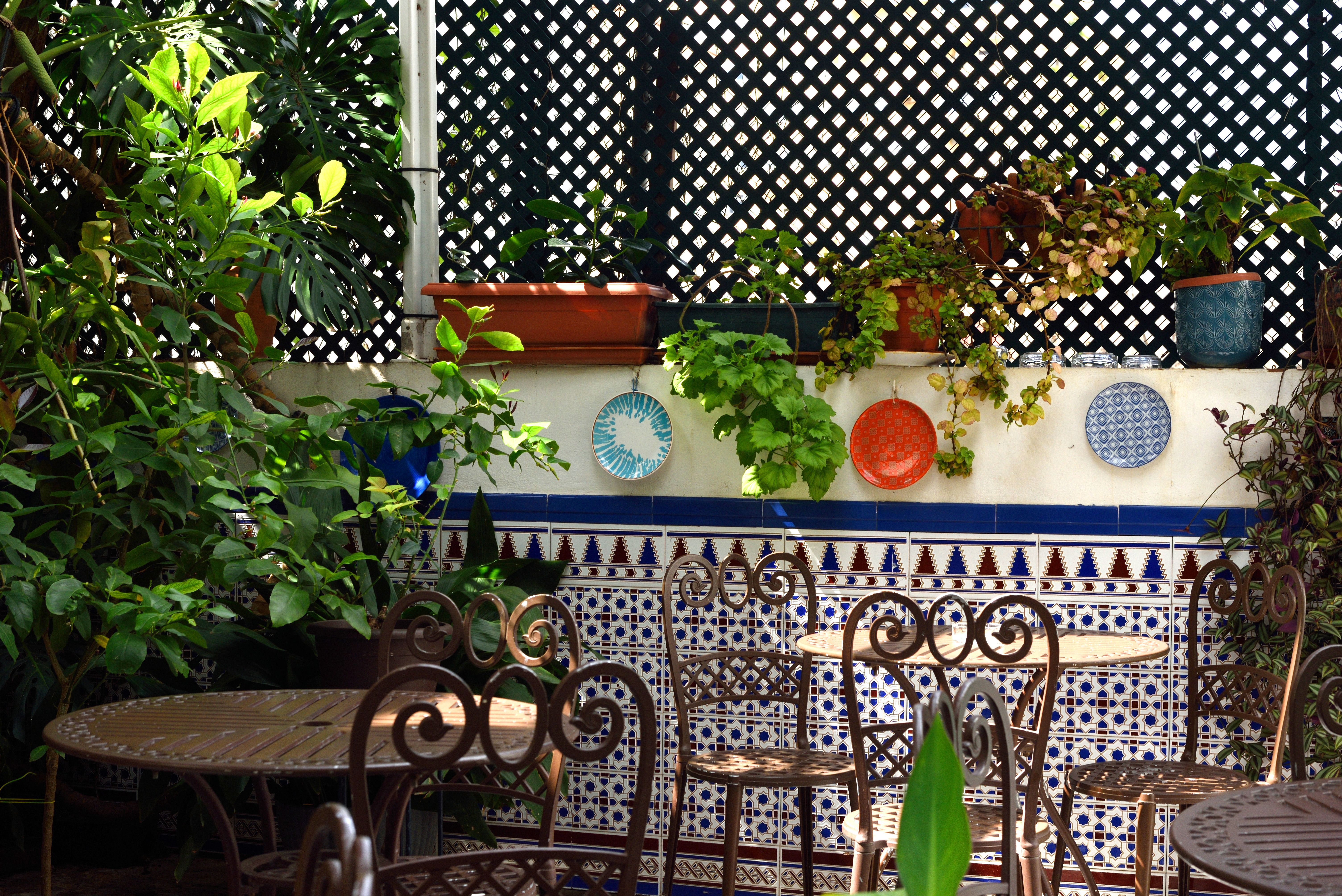 Pension aduar marbella , Marbella 