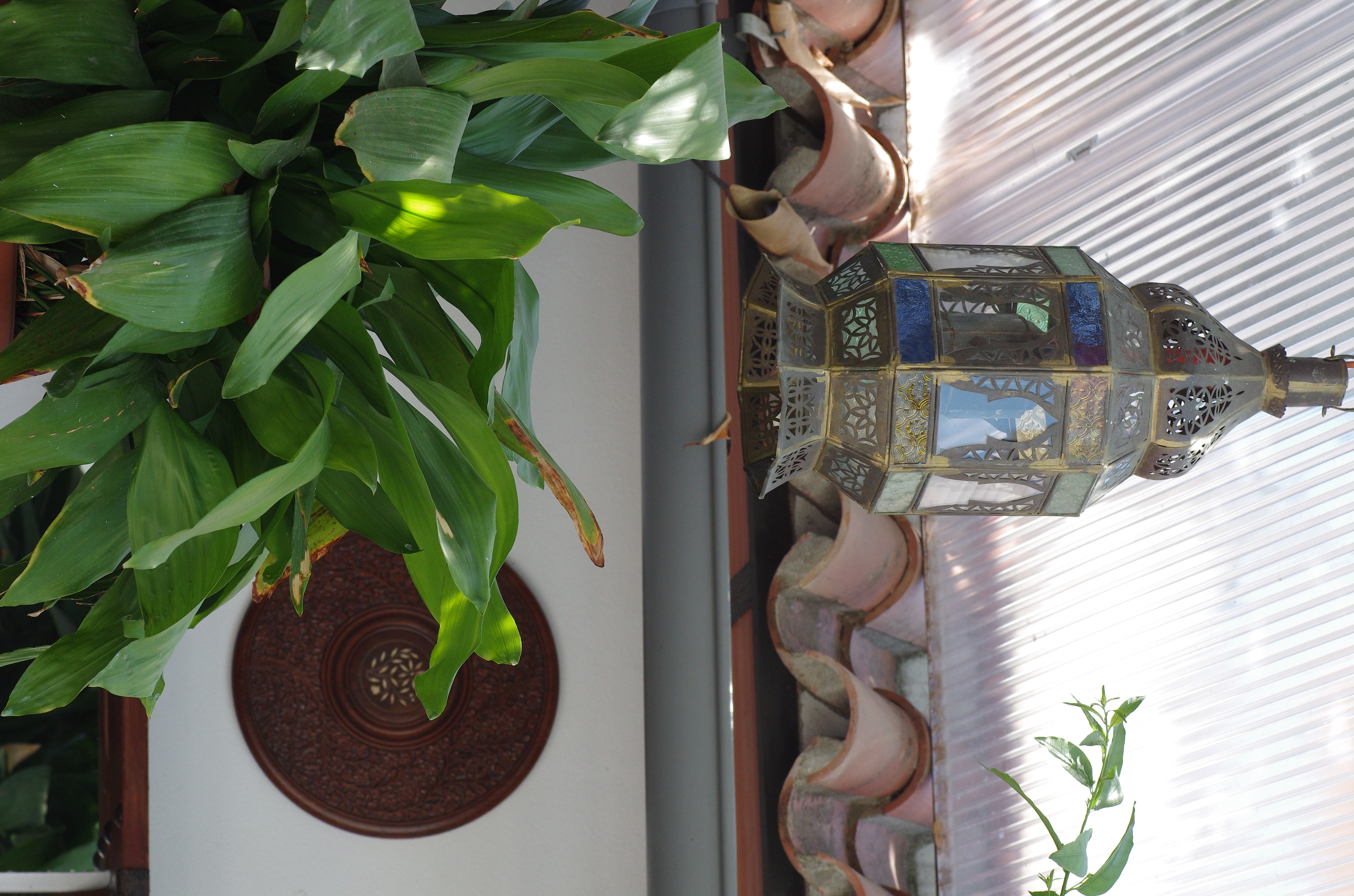 Pension aduar marbella , Marbella 