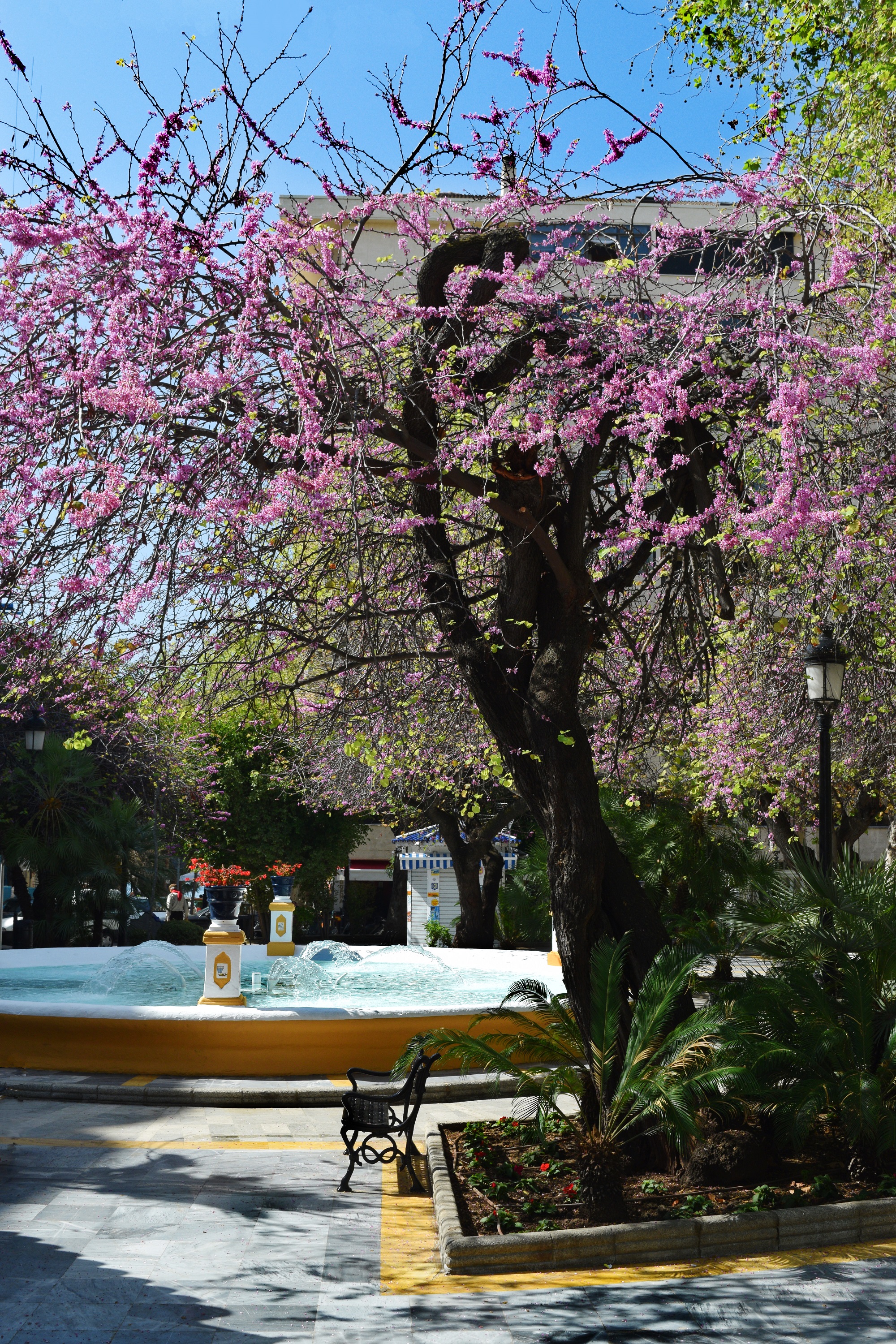Pension aduar marbella , Marbella 