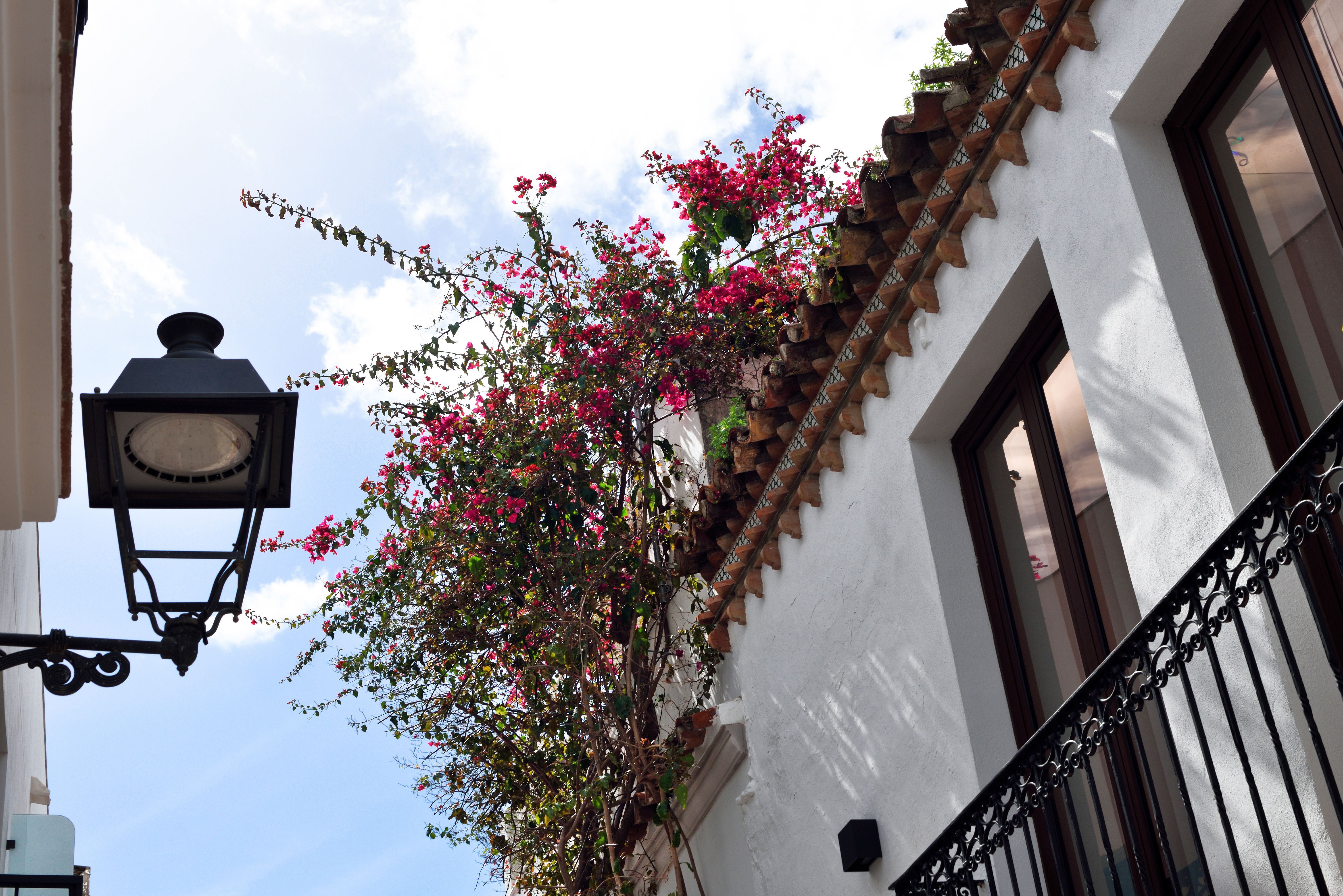 Pension aduar marbella , Marbella 