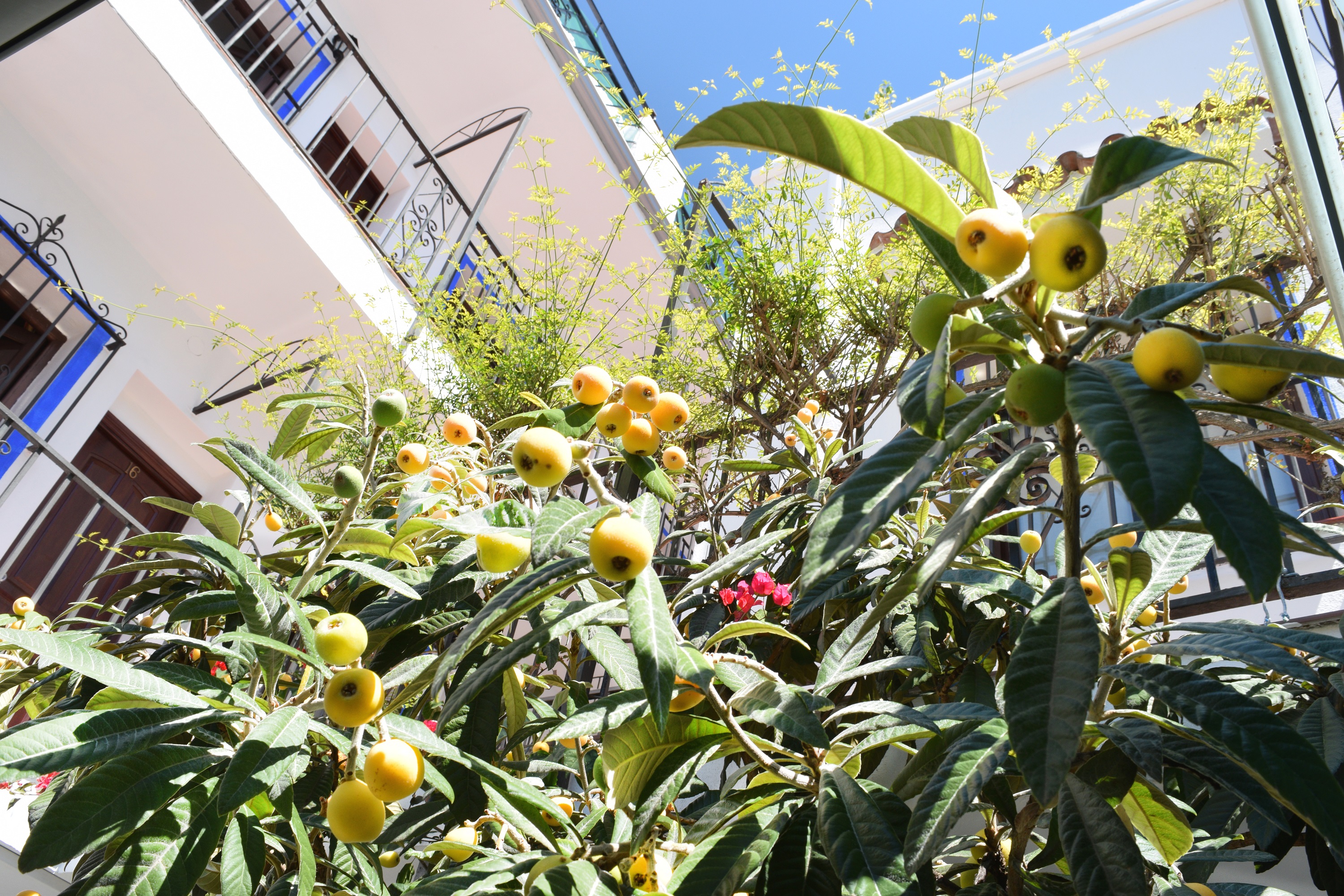 Pension aduar marbella , Marbella 