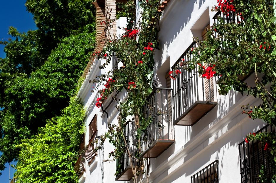 Pension aduar marbella , Marbella 