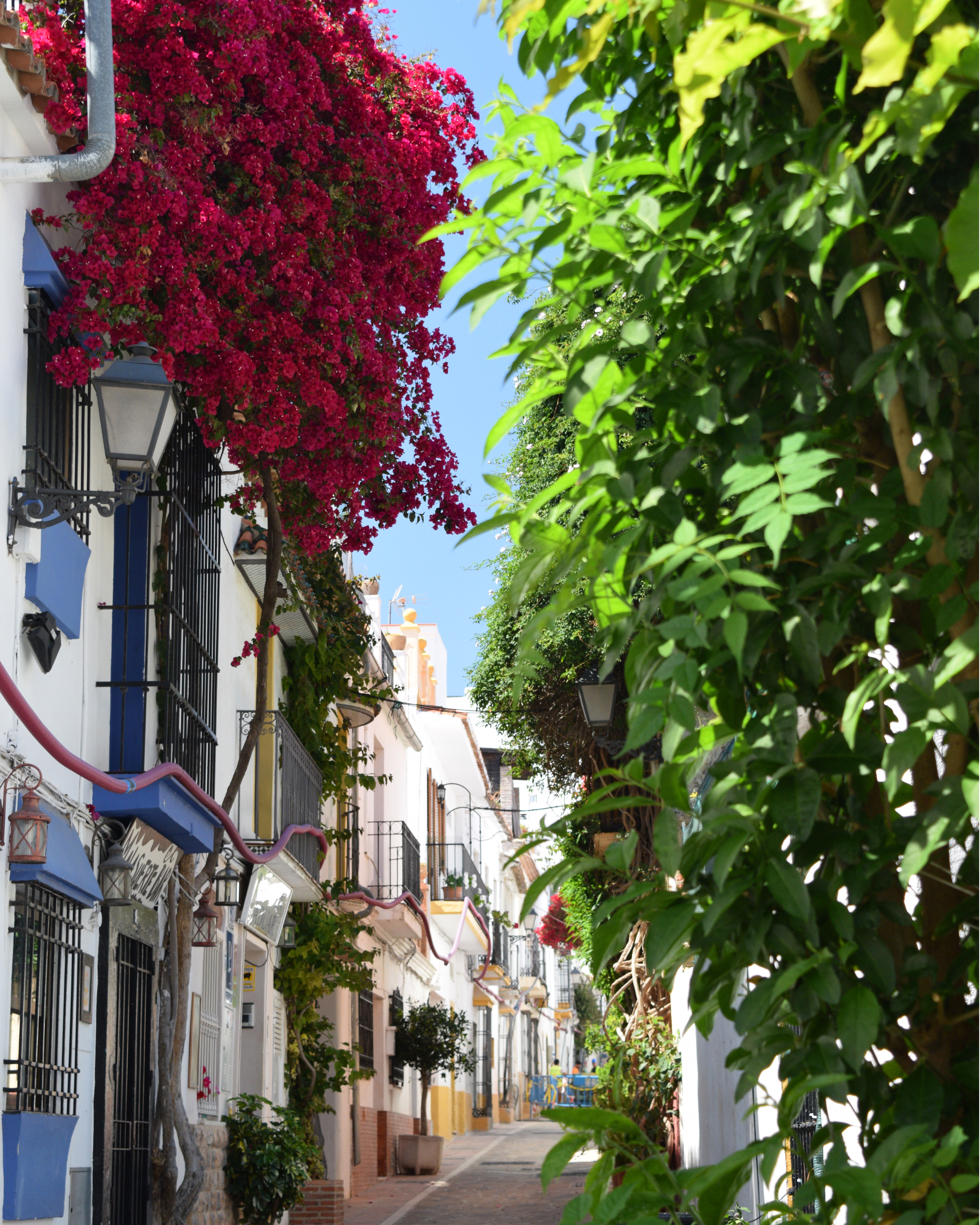 Pension aduar marbella , Marbella 