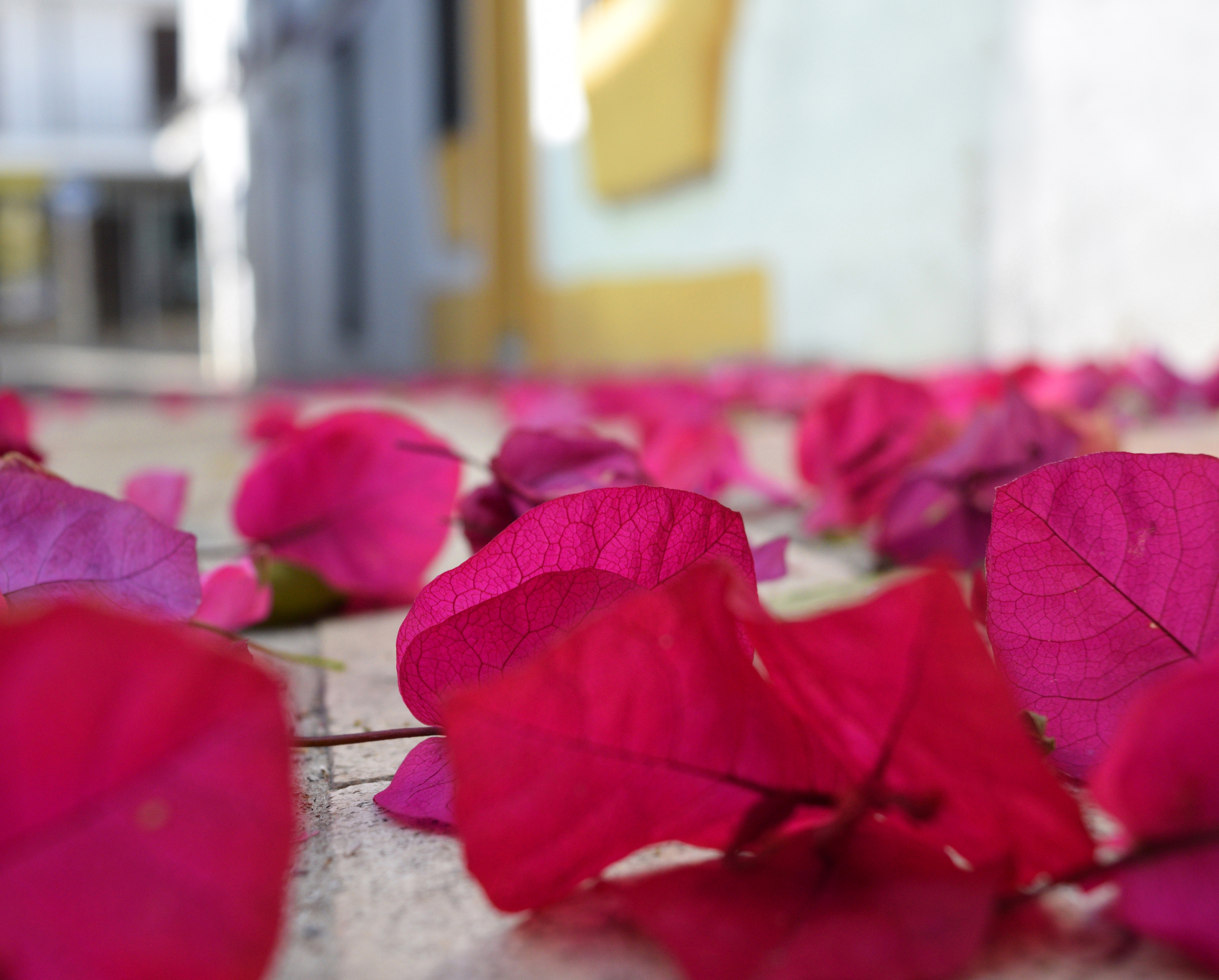 Pension aduar marbella , Marbella 