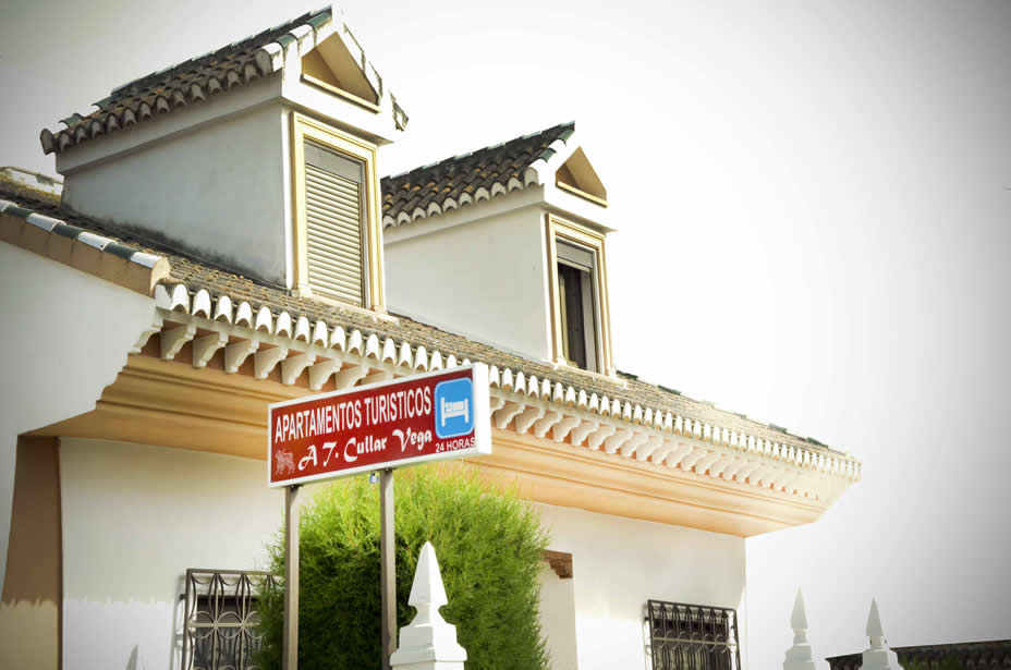 Apartamentos turisticos cullar vega 