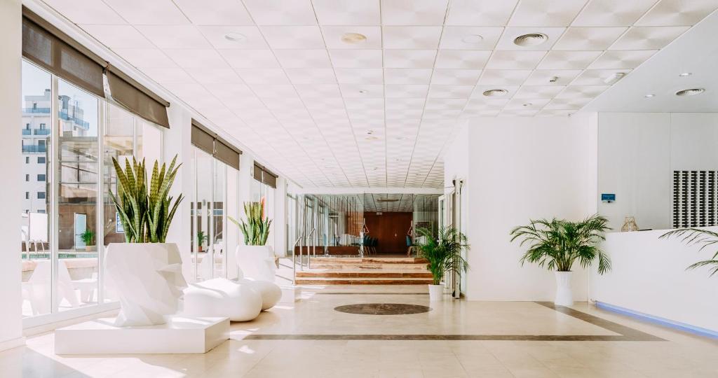 Hotel safari, Gandía